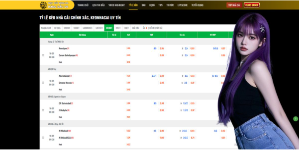 The Future of the Football Fan Experience